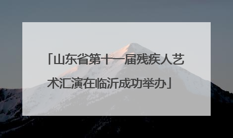 山东省第十一届残疾人艺术汇演在临沂成功举办