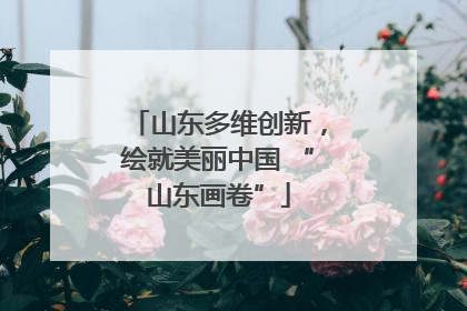 山东多维创新，绘就美丽中国 “山东画卷”