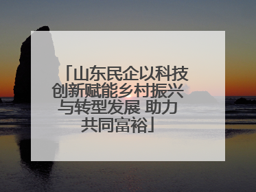 山东民企以科技创新赋能乡村振兴与转型发展 助力共同富裕