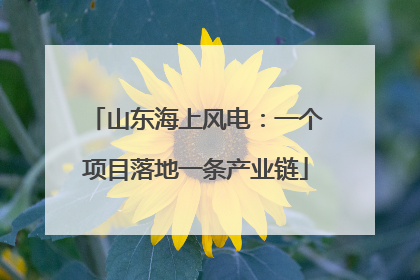 山东海上风电：一个项目落地一条产业链