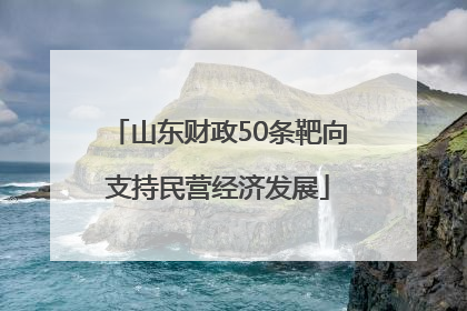 山东财政50条靶向支持民营经济发展