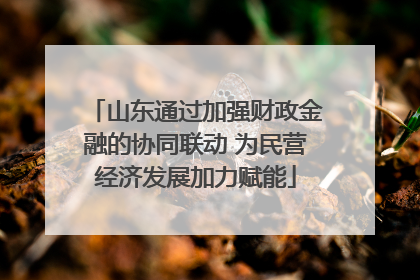 山东通过加强财政金融的协同联动 为民营经济发展加力赋能