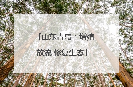 山东青岛：增殖放流 修复生态