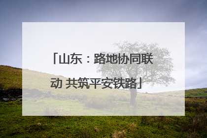 山东：路地协同联动 共筑平安铁路