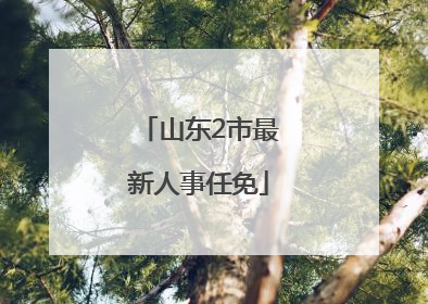 山东2市最新人事任免