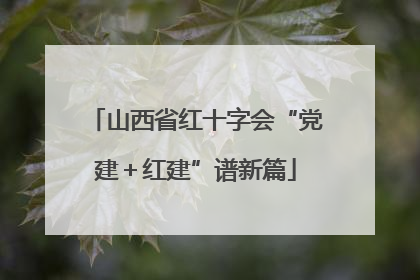 山西省红十字会“党建＋红建”谱新篇