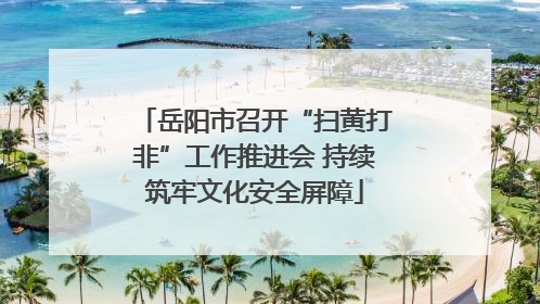 岳阳市召开“扫黄打非”工作推进会 持续筑牢文化安全屏障