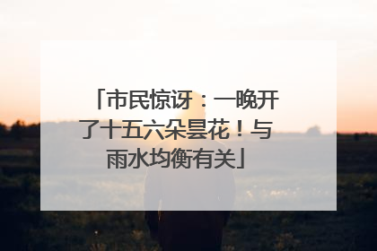 市民惊讶：一晚开了十五六朵昙花！与雨水均衡有关