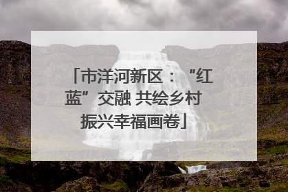 市洋河新区：“红蓝”交融 共绘乡村振兴幸福画卷