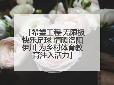 希望工程·无限极快乐足球 情暖洛阳伊川 为乡村体育教育注入活力