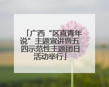 广西“区直青年说”主题宣讲暨五四示范性主题团日活动举行