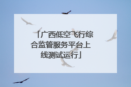 广西低空飞行综合监管服务平台上线测试运行