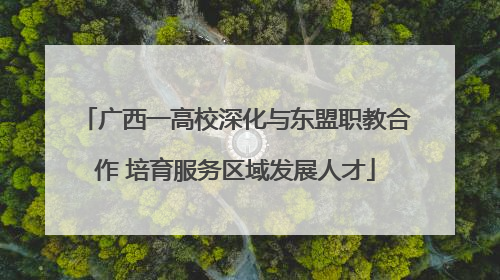 广西一高校深化与东盟职教合作 培育服务区域发展人才