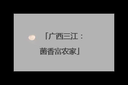 广西三江：菌香富农家
