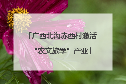 广西北海赤西村激活“农文旅学”产业