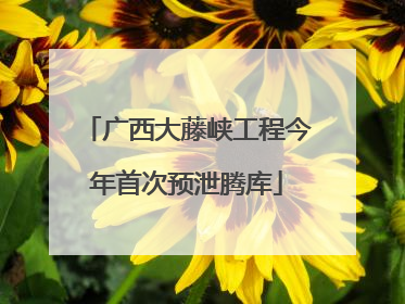 广西大藤峡工程今年首次预泄腾库