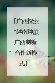 广西探索“越南种蔗+广西制糖”合作新模式