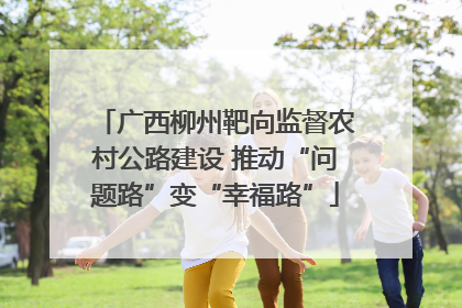 广西柳州靶向监督农村公路建设 推动“问题路”变“幸福路”