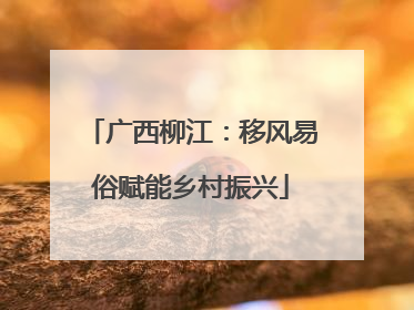 广西柳江：移风易俗赋能乡村振兴