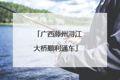 广西藤州浔江大桥顺利通车