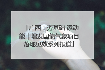 广西：夯基础 添动能｜增发国债气象项目落地见效系列报道