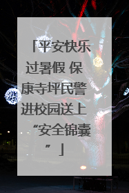 平安快乐过暑假 保康寺坪民警进校园送上“安全锦囊”