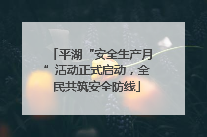 平湖“安全生产月”活动正式启动，全民共筑安全防线
