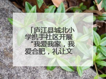 庐江县城北小学携手社区开展“我爱我家，我爱合肥，礼让文明”实践活动