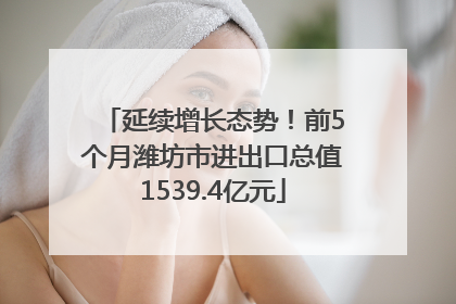延续增长态势！前5个月潍坊市进出口总值1539.4亿元