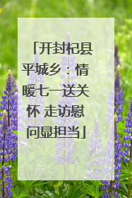 开封杞县平城乡：情暖七一送关怀 走访慰问显担当