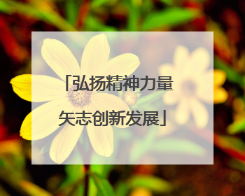 弘扬精神力量 矢志创新发展