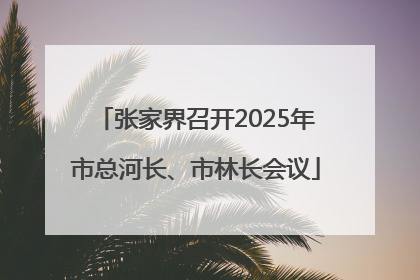 张家界召开2025年市总河长、市林长会议