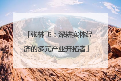 张林飞：深耕实体经济的多元产业开拓者