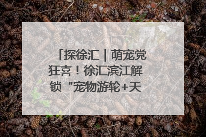 探徐汇｜萌宠党狂喜！徐汇滨江解锁“宠物游轮+天台乐园”双玩法