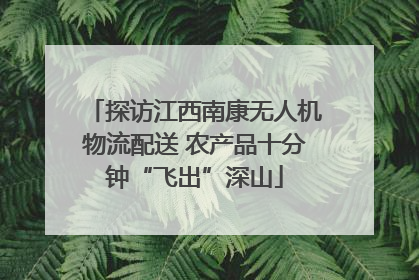 探访江西南康无人机物流配送 农产品十分钟“飞出”深山