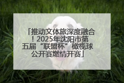 推动文体旅深度融合！2025年沈阳市第五届“联盟杯”橄榄球公开赛燃情开赛