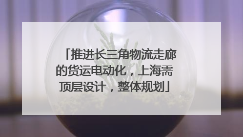 推进长三角物流走廊的货运电动化，上海需顶层设计，整体规划