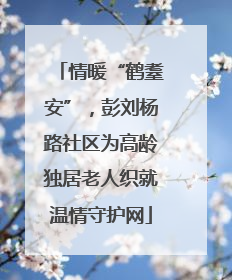 情暖“鹤耋安”，彭刘杨路社区为高龄独居老人织就温情守护网