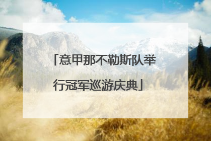 意甲那不勒斯队举行冠军巡游庆典