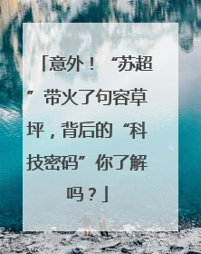 意外！“苏超”带火了句容草坪，背后的“科技密码”你了解吗？