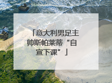 意大利男足主帅斯帕莱蒂“自宣下课”