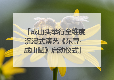 成山头举行全维度沉浸式演艺《东寻·成山赋》启动仪式