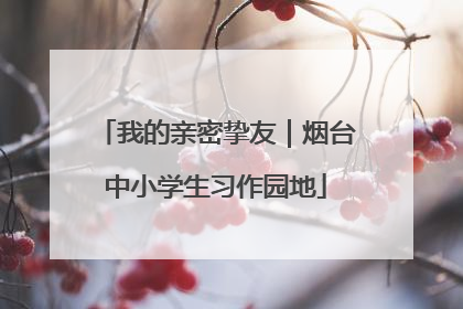 我的亲密挚友｜烟台中小学生习作园地