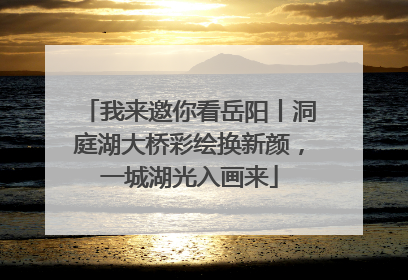 我来邀你看岳阳丨洞庭湖大桥彩绘换新颜，一城湖光入画来