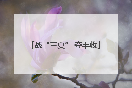 战“三夏” 夺丰收