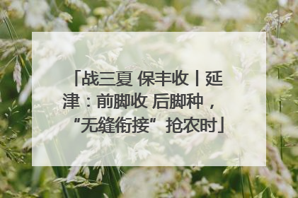 战三夏 保丰收丨延津：前脚收 后脚种，“无缝衔接”抢农时