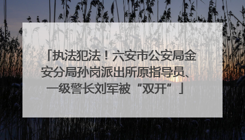 执法犯法！六安市公安局金安分局孙岗派出所原指导员、一级警长刘军被“双开”