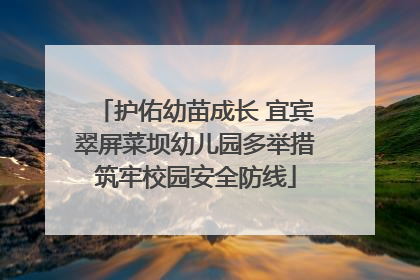 护佑幼苗成长 宜宾翠屏菜坝幼儿园多举措筑牢校园安全防线
