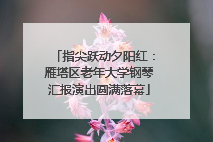 指尖跃动夕阳红：雁塔区老年大学钢琴汇报演出圆满落幕