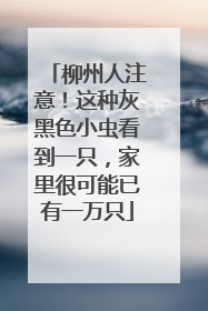 柳州人注意！这种灰黑色小虫看到一只，家里很可能已有一万只